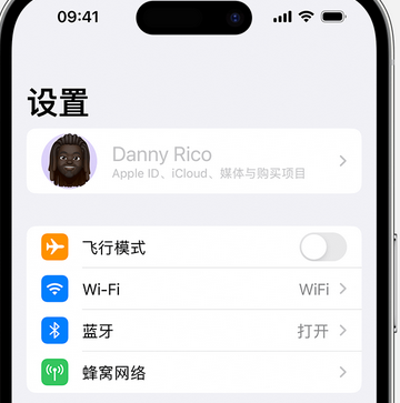 南头镇appleID维修服务iPhone设置中Apple ID显示为灰色无法使用 