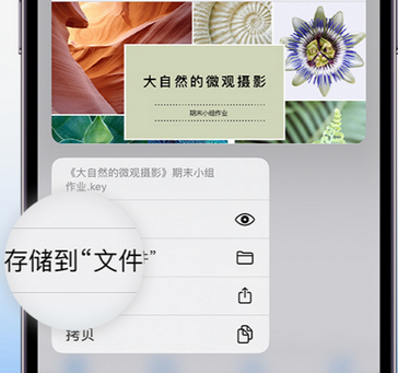 南头镇apple维修中心分享iPhone文件应用中存储和找到下载文件