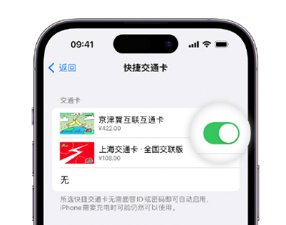 南头镇apple维修点分享iPhone上更换Apple Pay快捷交通卡手绘卡面 