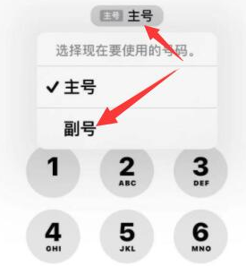 南头镇苹果14维修店分享iPhone 14 Pro Max使用副卡打电话的方法 