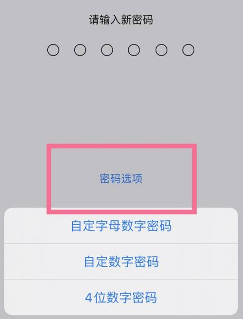 南头镇苹果14维修分享iPhone 14plus设置密码的方法 