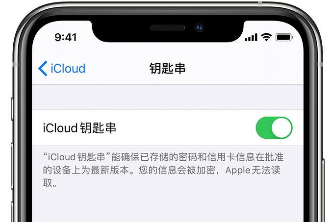 南头镇苹果手机维修分享在 iPhone 上开启 iCloud 钥匙串之后会储存哪些信息 