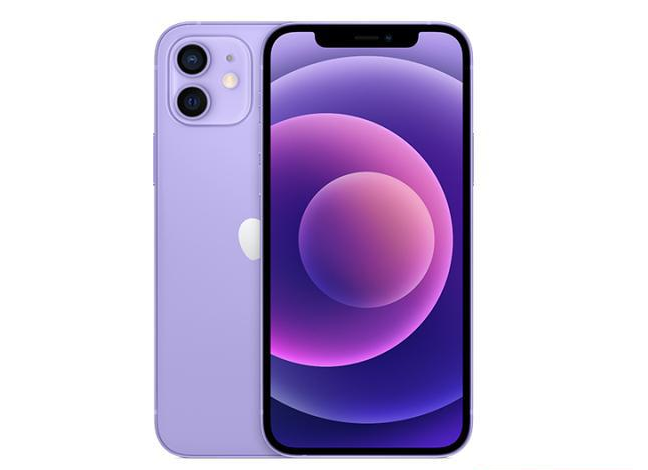 南头镇苹果手机维修分享现阶段要不要入手紫色版iPhone12 